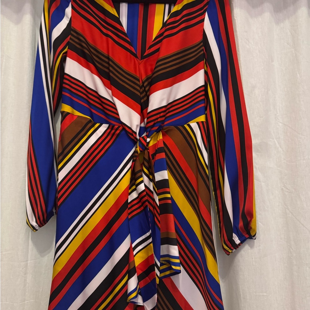 Express Multicolor Striped Dress
